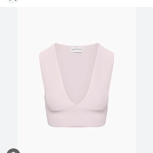 Aritzia Babaton top